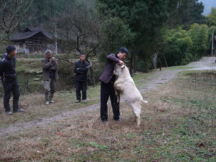 九龍地礦公司扶貧蹲點(diǎn)回訪紀(jì)實(shí)