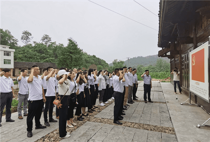 公司開(kāi)展“支部聯(lián)建謀奮進(jìn)，產(chǎn)業(yè)互鑒促發(fā)展”主題黨日活動(dòng)