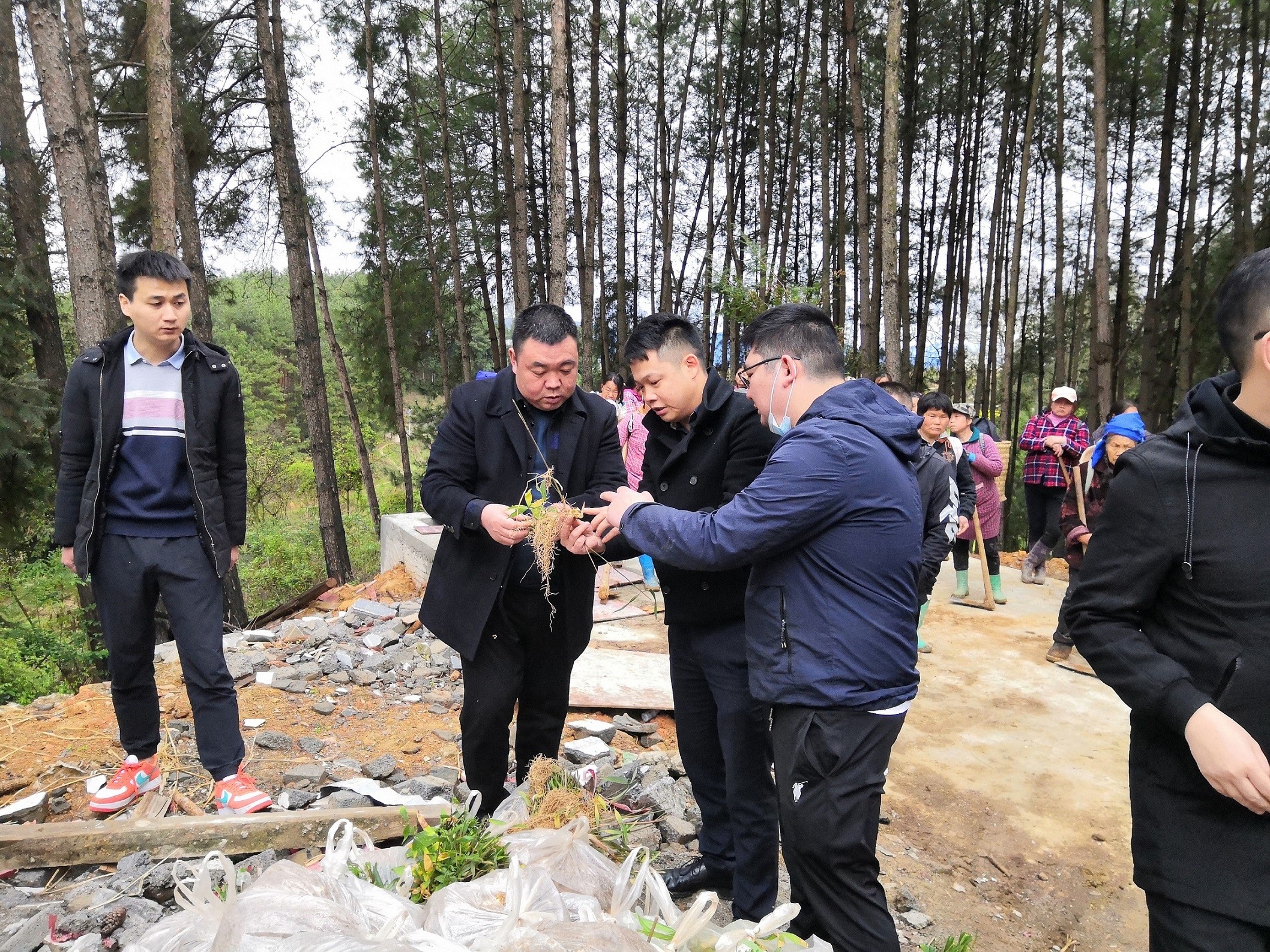 銅仁市城交集團(tuán)九龍地礦公司總經(jīng)理王剛一行前往石阡縣國家儲備林項目（五期）檢查工作